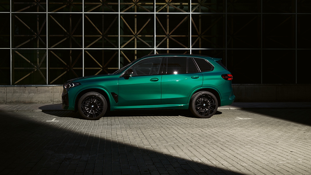 Professional қаңтару ассистенті