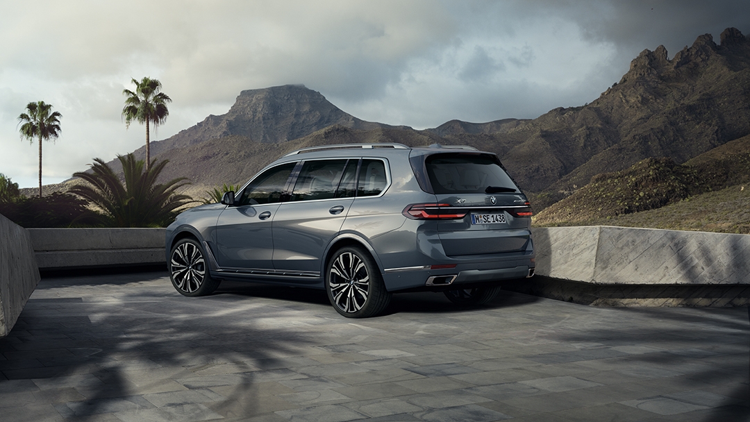 Professional тұраққа қою көмекшісі